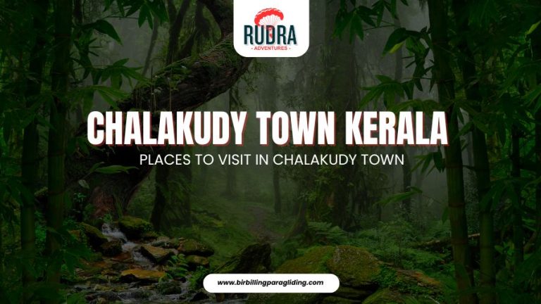 Chalakudy Town Kerala