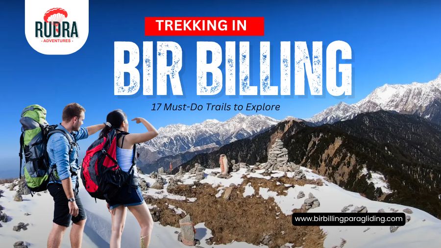 Trekking in Bir Billing 17 Must-Do Trails to Explore