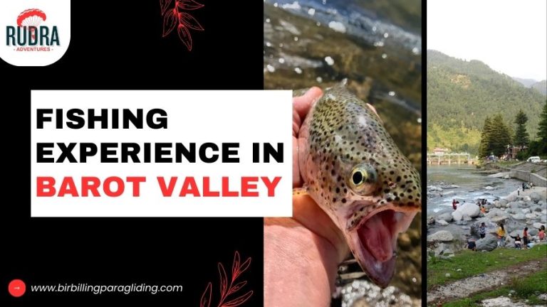 Fishing Experience in Barot Valley