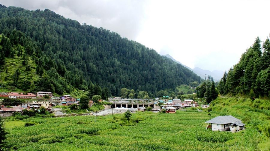 Why Barot Valley is a Must-Visit Destination