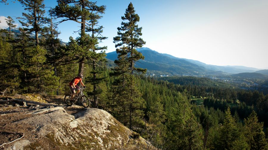 Morning Rituals - Yoga, Markets, and Mountain Biking