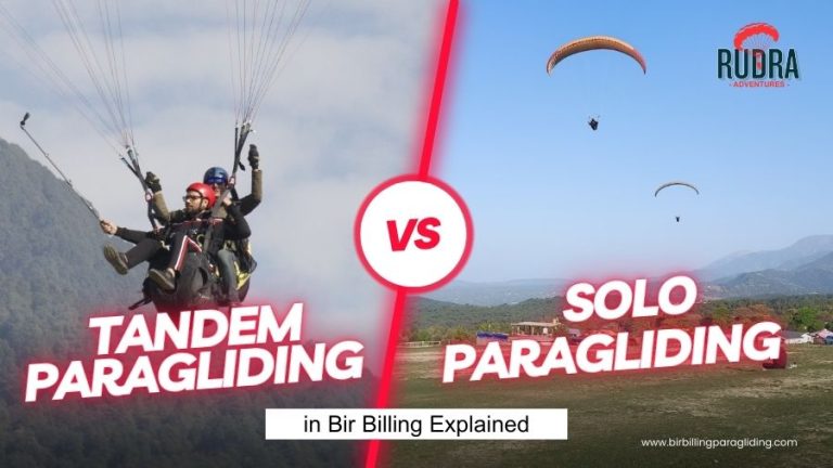 Tandem vs Solo Paragliding in Bir Billing Explained