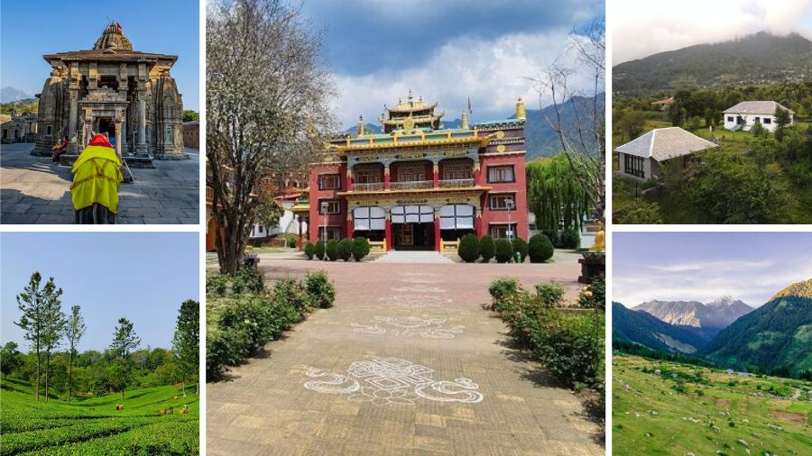 Best Places to Visit In or Near Bir Billing