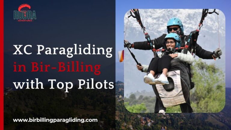 XC Paragliding in Bir-Billing with Top Pilots